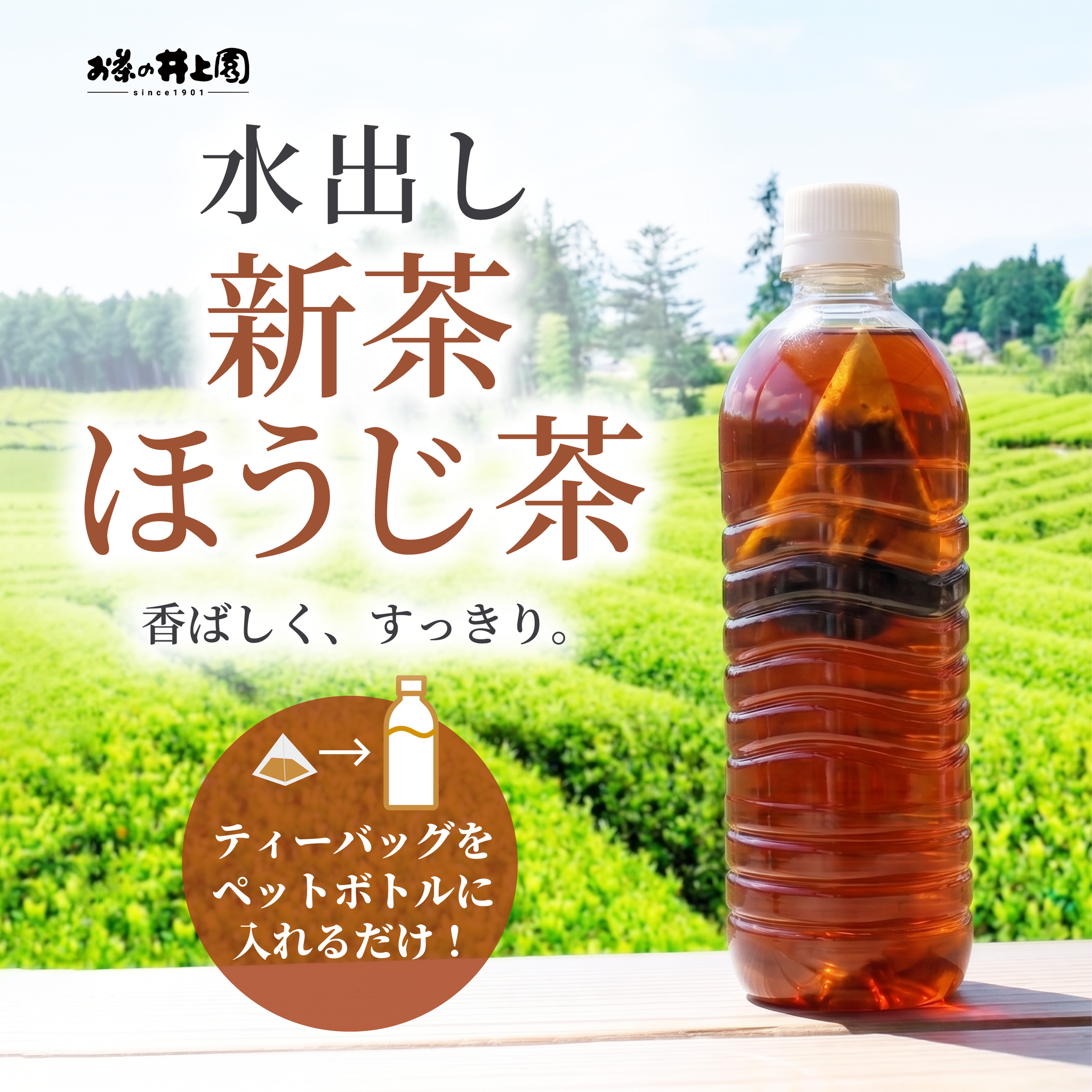 ほうじ茶 水 出し