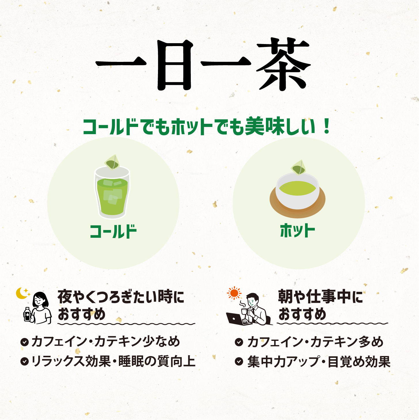 新茶 The 1st (ティーバッグ) – お茶の井上園